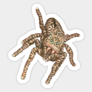 Jumping Spider Tabby Sticker